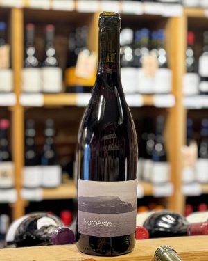 Vino tinto Noroeste 2022 Vicky Torres