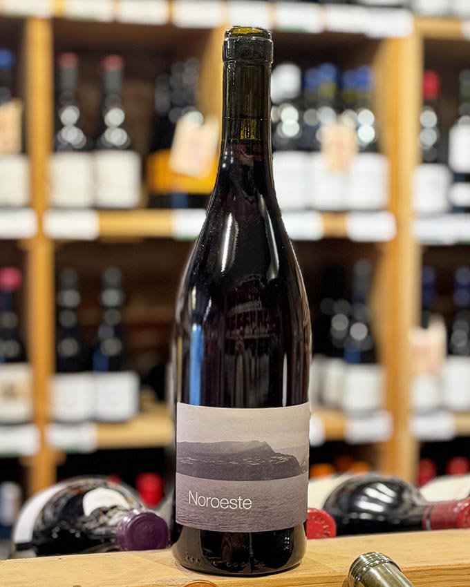 Vino tinto Noroeste 2022 Vicky Torres